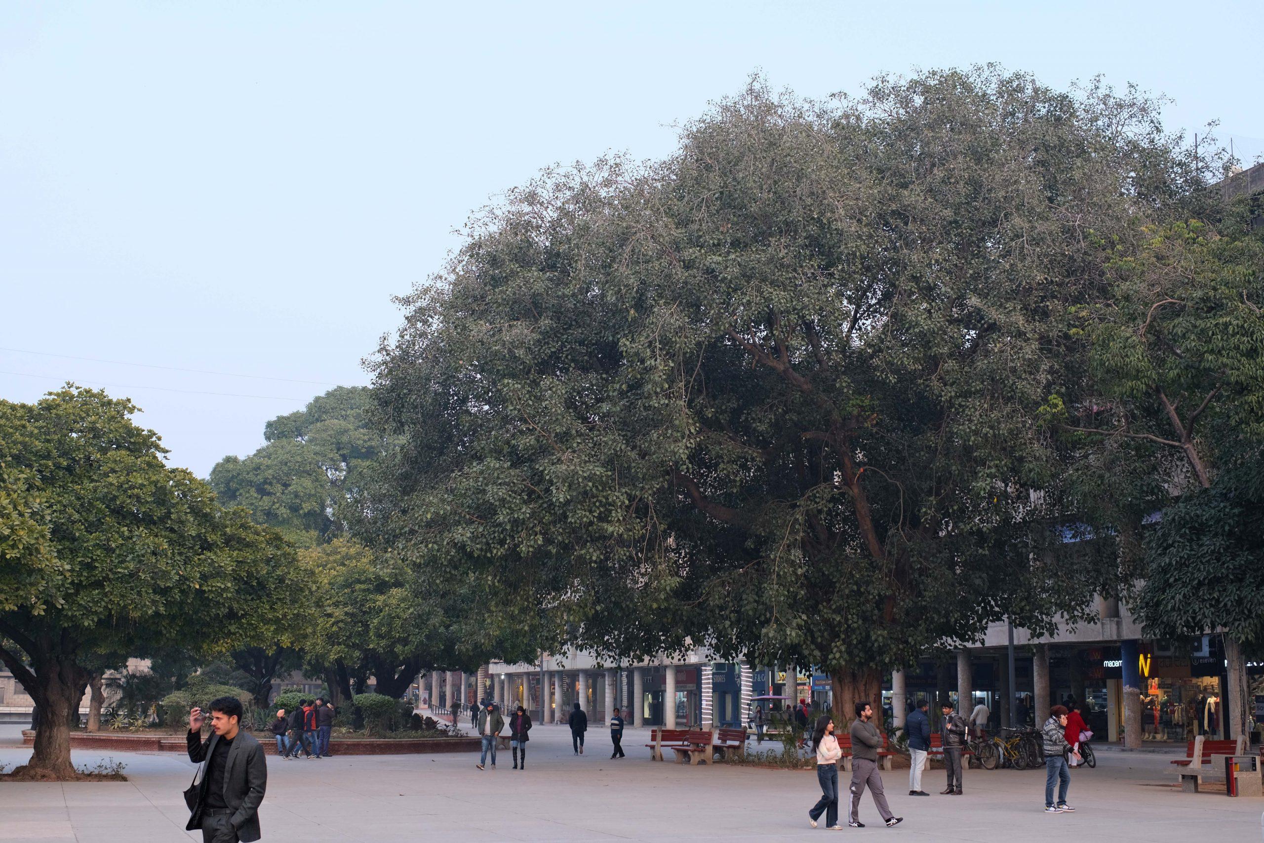 Sector 8, Chandigarh, India