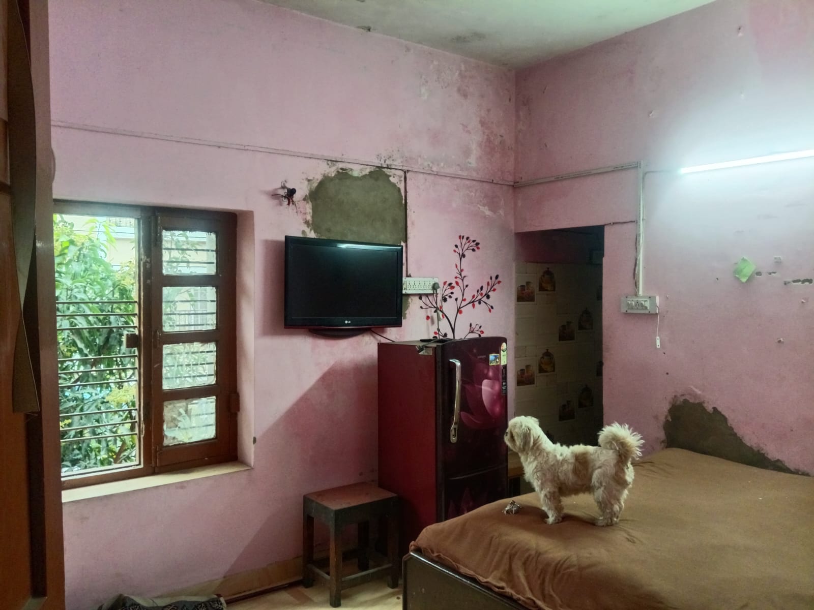 1 Room with Kitchen Fully Furnished House