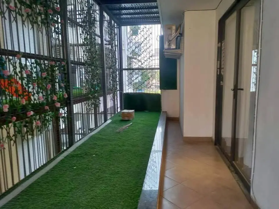 Room for rent
