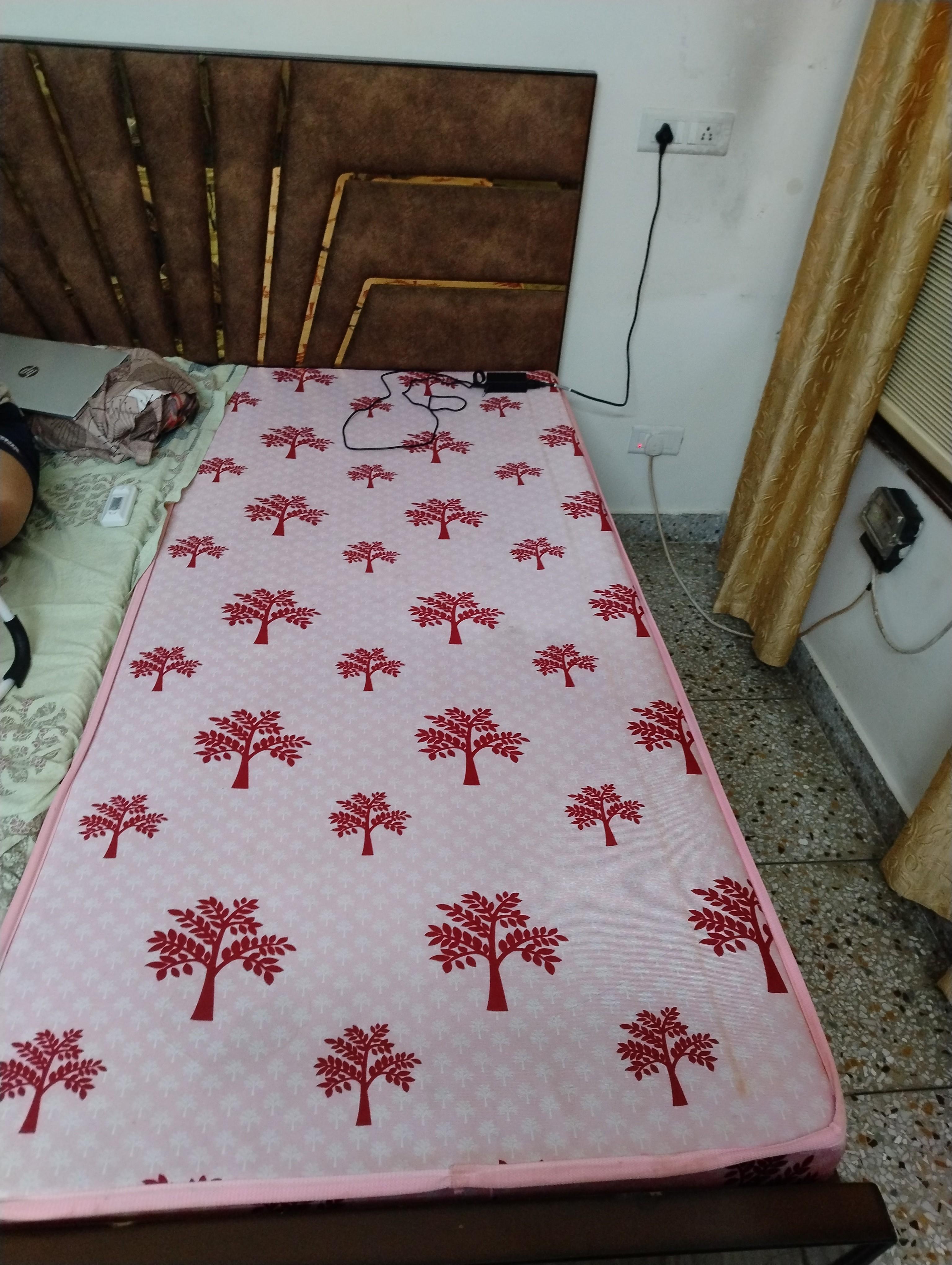 PG for All in Sector 21,Chandigarh