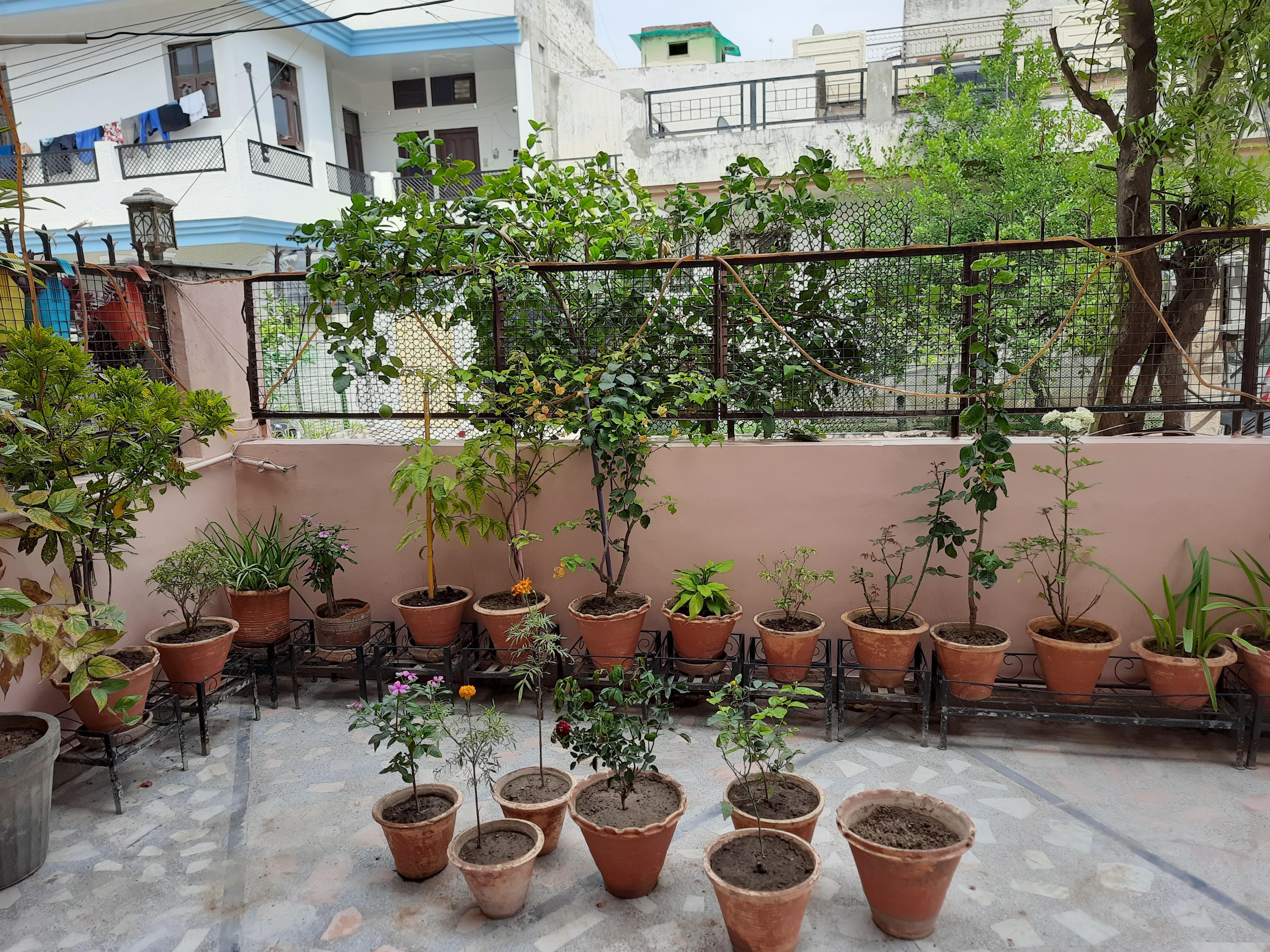 3BHK Fully Furnished House